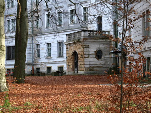 Foto 21